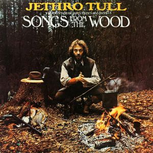 Songs from the Wood - album