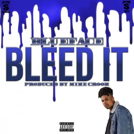 Bleed It - album