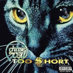 Chase the Cat Album 